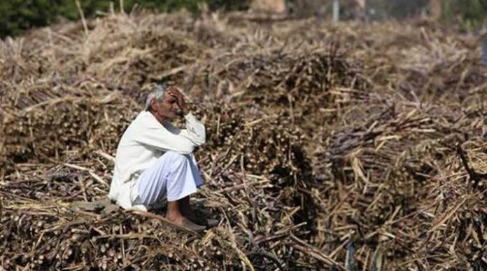 वाढत्या शेतकऱ्यांच्या आत्महत्या, अमरावतीत जिल्ह्यात आठ महिन्यात १८० शेतकरी मृत्यूबळी